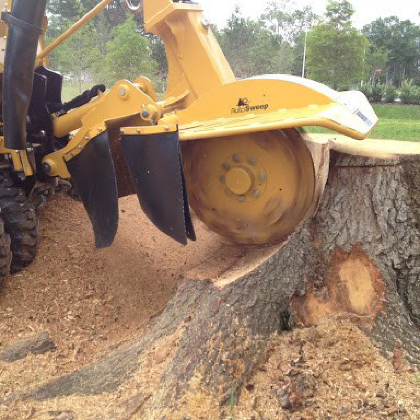 Stump Grinding Tree Care Nation